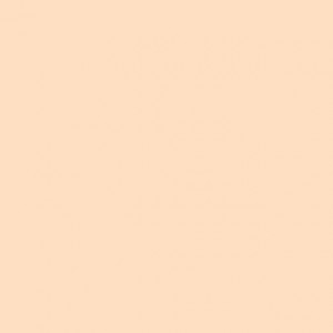 SW0028.f